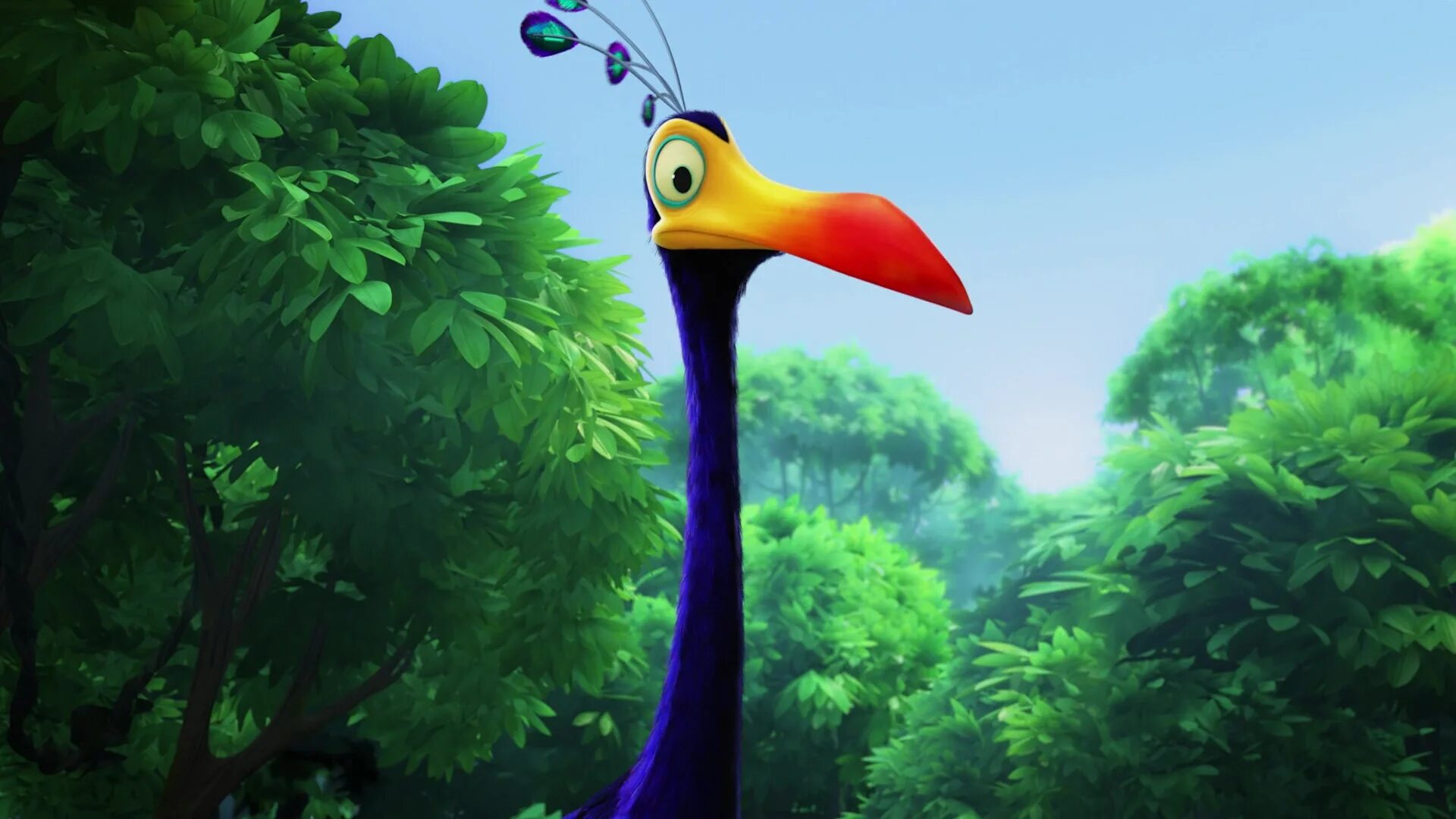 Bird 2009