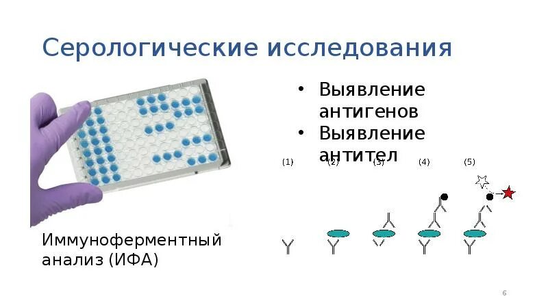 Иммуноферментный анализ тест. Серологические методы исследования ИФА. Серологический метод (ИФА, РСК, РТГА). Иммуноферментный метод (ИФА). Метод ИФА микробиология.