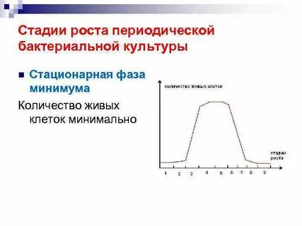 Минимальная фаза