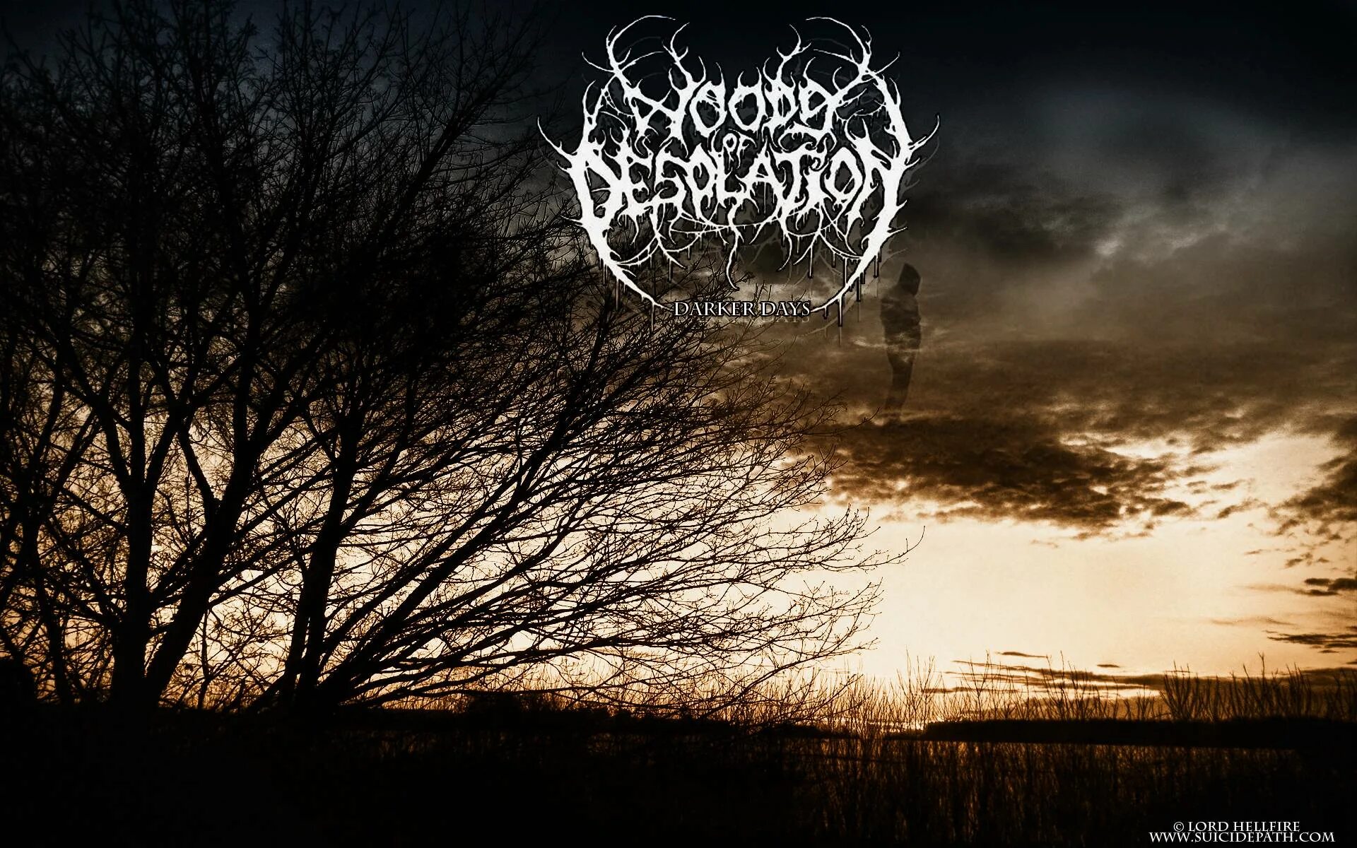 Группа Woods of Desolation. DSBM Woods of Desolation. Woods of Desolation интервью. Dolor Woods of Desolation. Dark days перевод