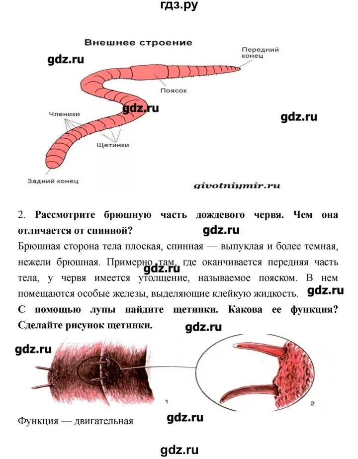 Биология 8 класс Захаров. Гдз 8 класс биология Сонин Захаров. Гдз по биологии 8 класс рабочая тетрадь Сонин Захаров. Биология 8 класса животные Захаров и Сонин. Биология 8 класс тетрадь захаров сонин