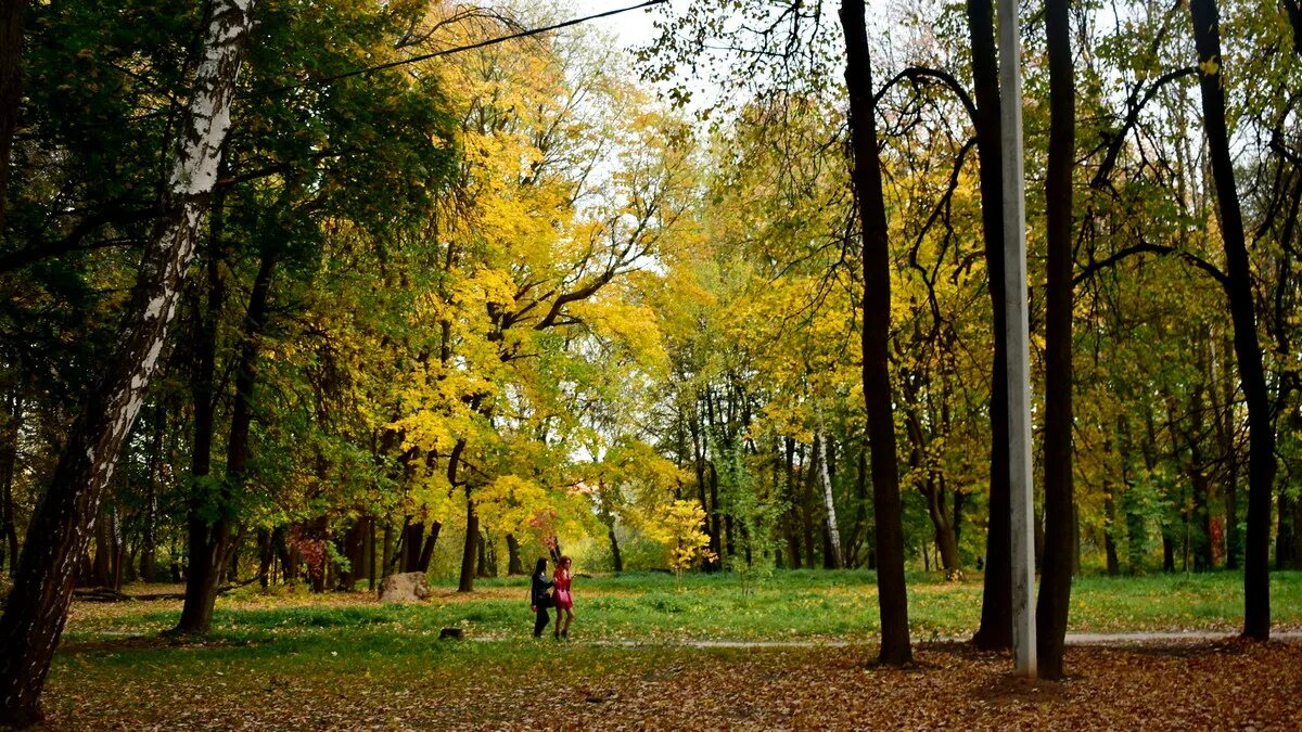 Парка рязань купить. Парк ЦПКИО Рязань. Дендропарк Рязань. Центральный парк Горроща Рязань. ЦПКИО Рязань осенью.