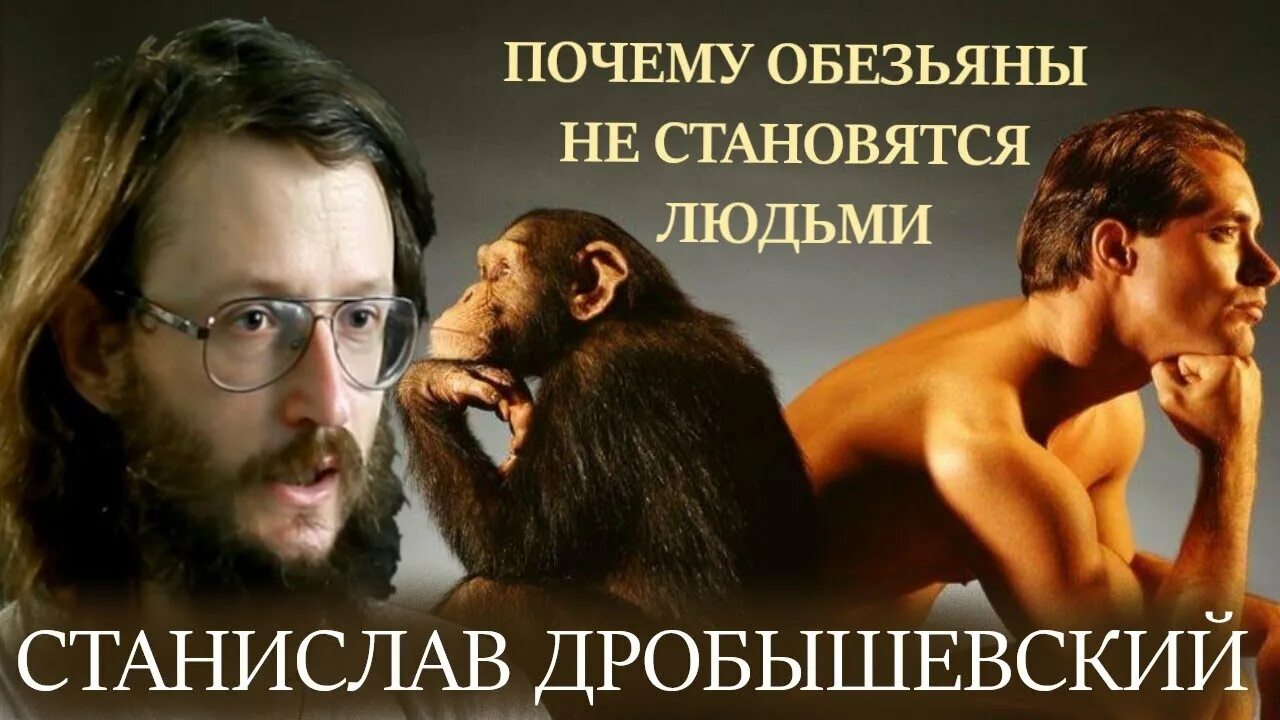 почему у человека волос как у обезьяны. почему обезьяны не эволюционируют. почему современная обезьяна не может превратиться в человека. почему обезьяна. человек не произошел от обезьяны.