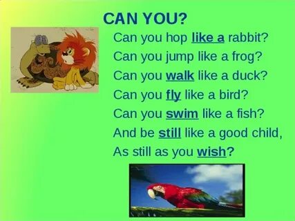 He can fly and sing
