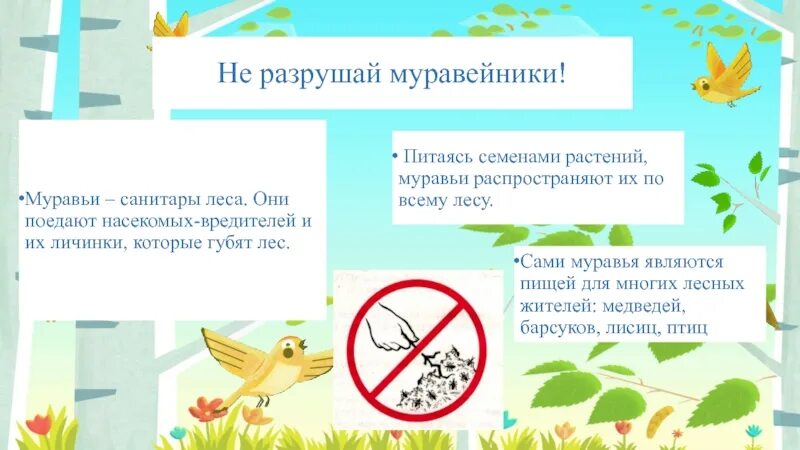 Почему нельзя разрушать муравейники. Почему нельзя разорять муравейники. Не разрушайте муравейники. Почему нельзя разрушать муравейники в лесу. Разрушать перевод