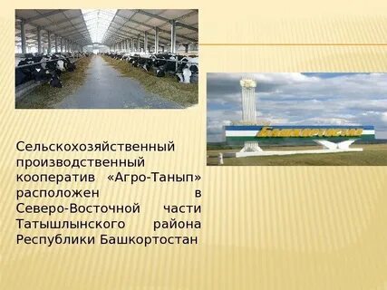 Спк это