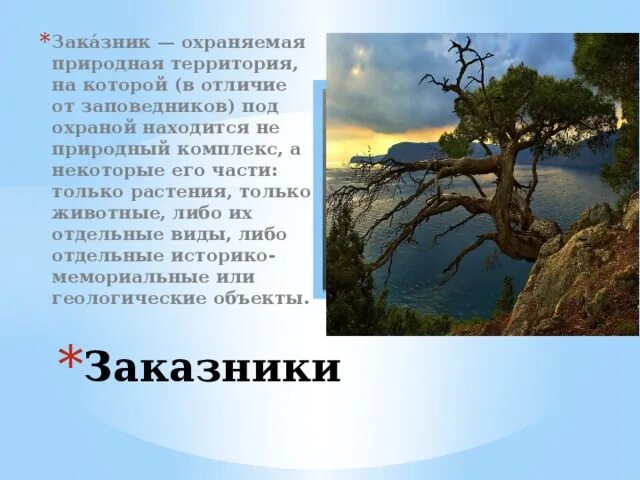 Заказник. Заказник это определение. Что такое заказник кратко.