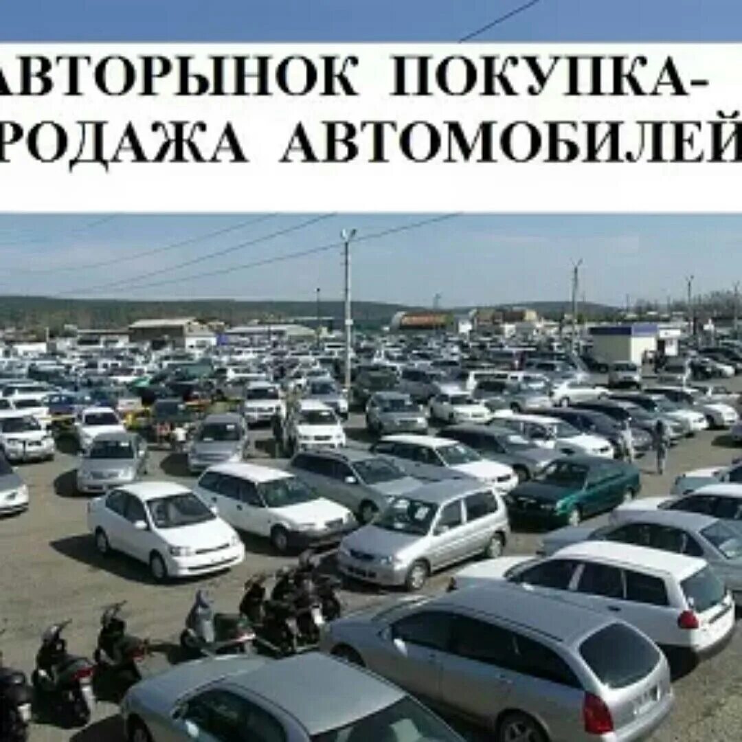Авторынок в кызыле. Авторынок борисоглебск. авторынок читы. авторынок чита северный.