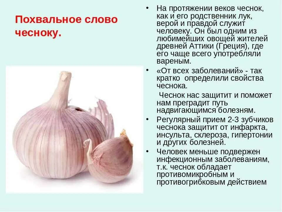 Вареный чеснок польза. Чеснок. Информация о чесноке. Чем полезен чеснок. Полезные свойства чеснока.