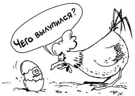 Цыпленок курицу не учит