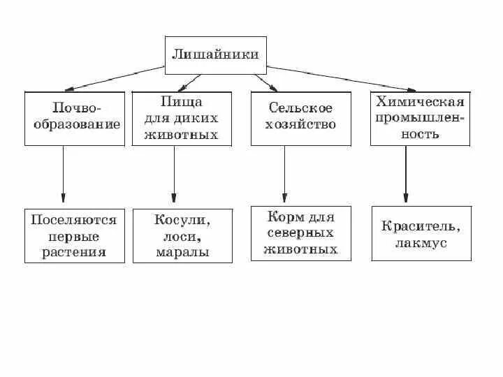 Схема значение лишайников. Значение лишайников таблица. Лишайники классификация схема. 5 Значений лишайников.