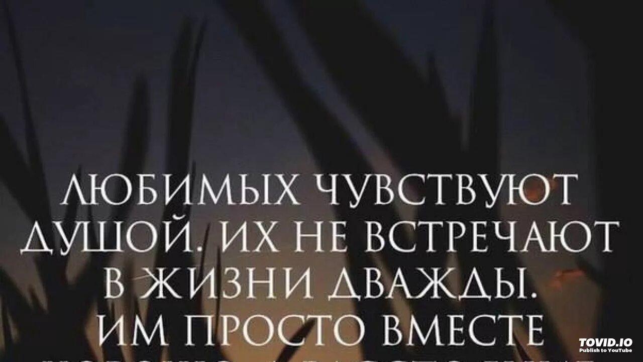 Живем всего два раза. Любимых чувствуют душой и не встречают. Любимых чувствуют душой их не встречают в жизни дважды. Дважды в жизни. Любимых чувствуют душой и не встречают в жизни дважды картинки.