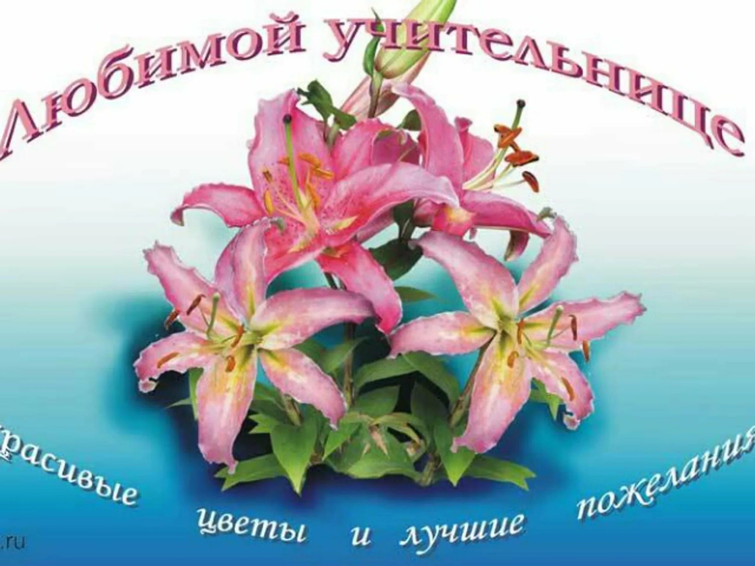 Самому учителю. С днём рождения учителю. поздравления с днём рождения учителю. аткрытка длиа учителиницы. любимой учительнице с днем рождения.