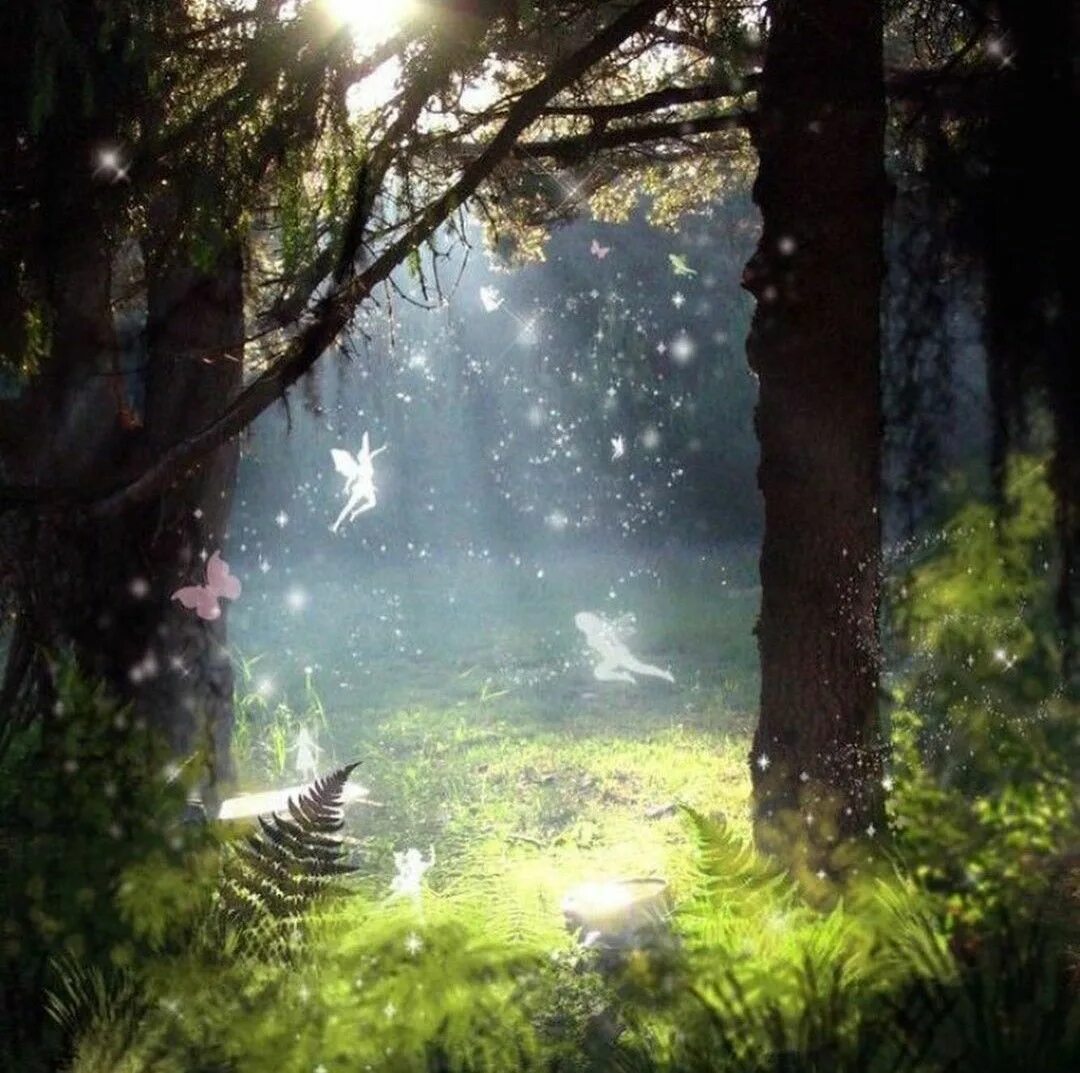 Dim Light Forest by Ferdinand Ladera Фоновые рисунки, Пейзажи, Рисунки пейзажей