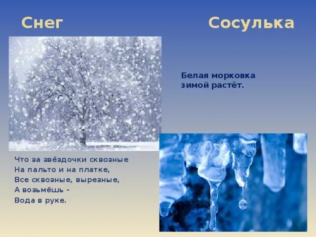 Загадка про сосульку. Белая морковка зимой растет ответ на загадку. Загадка белая морковка зимой растет. Стихи про сосульки. Загадка белая морковка зимой растет.