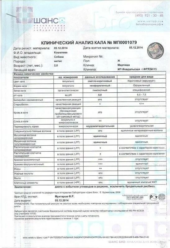 Химический анализ кала собак норма. Клинический анализ кала. Общеклиническое исследование кала. Исследование кала анализ.