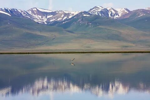 Куль 4 буквы