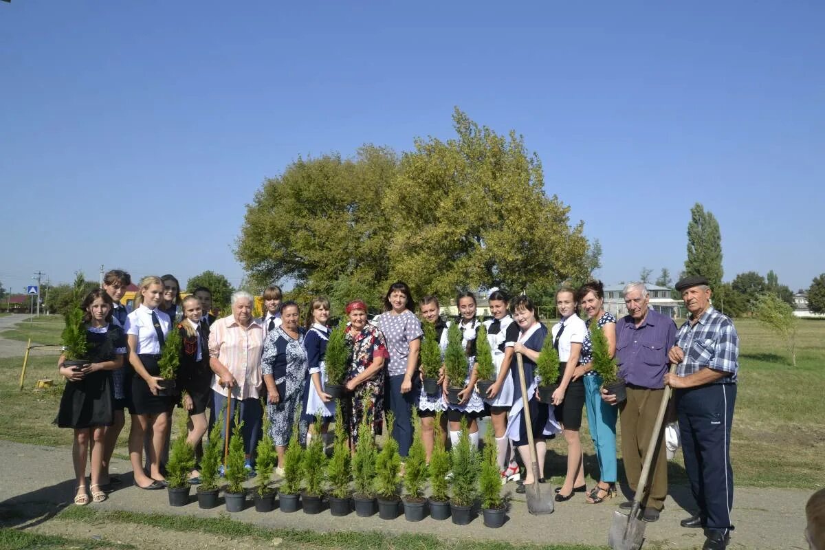 Погода в новомалороссийской краснодарского края