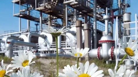 нефтегаз безопасность