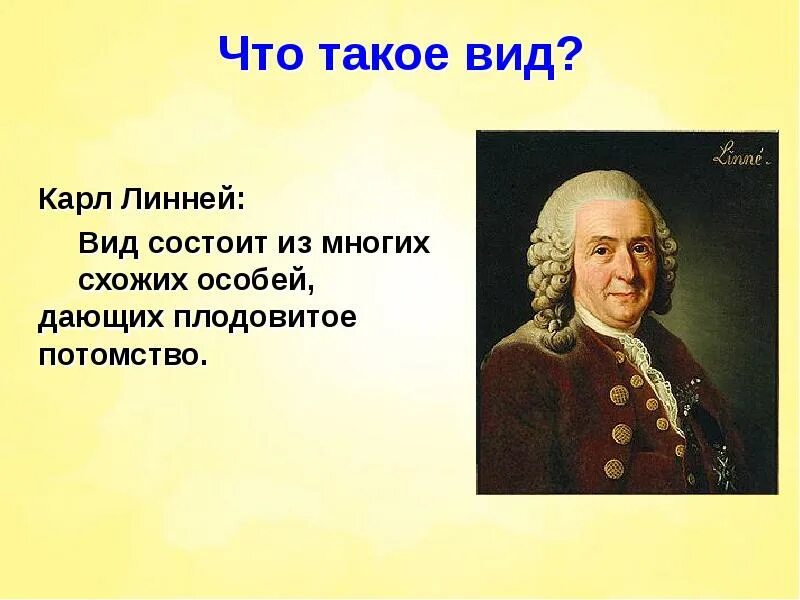 Что такое вид 7 класс. Линней вид. вид по линнею.