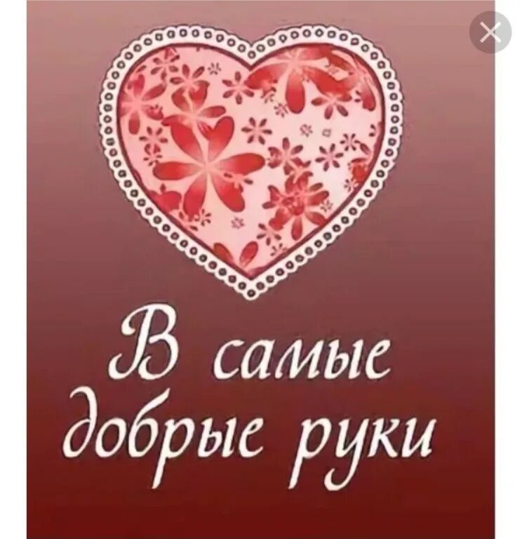 Ищем самых добрых хозяев. Статус от добра добра не ищут. Добрые руки. Нужна помощь добрых сердец. Добрый ищет добрую.