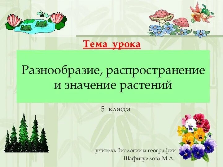 Признаки разнообразия растений. Разнообразие и распространение растений. разнообразие растений 5 класс биология. распространение и значение растений. разнообразие распространение значение растений 5 класс биология.