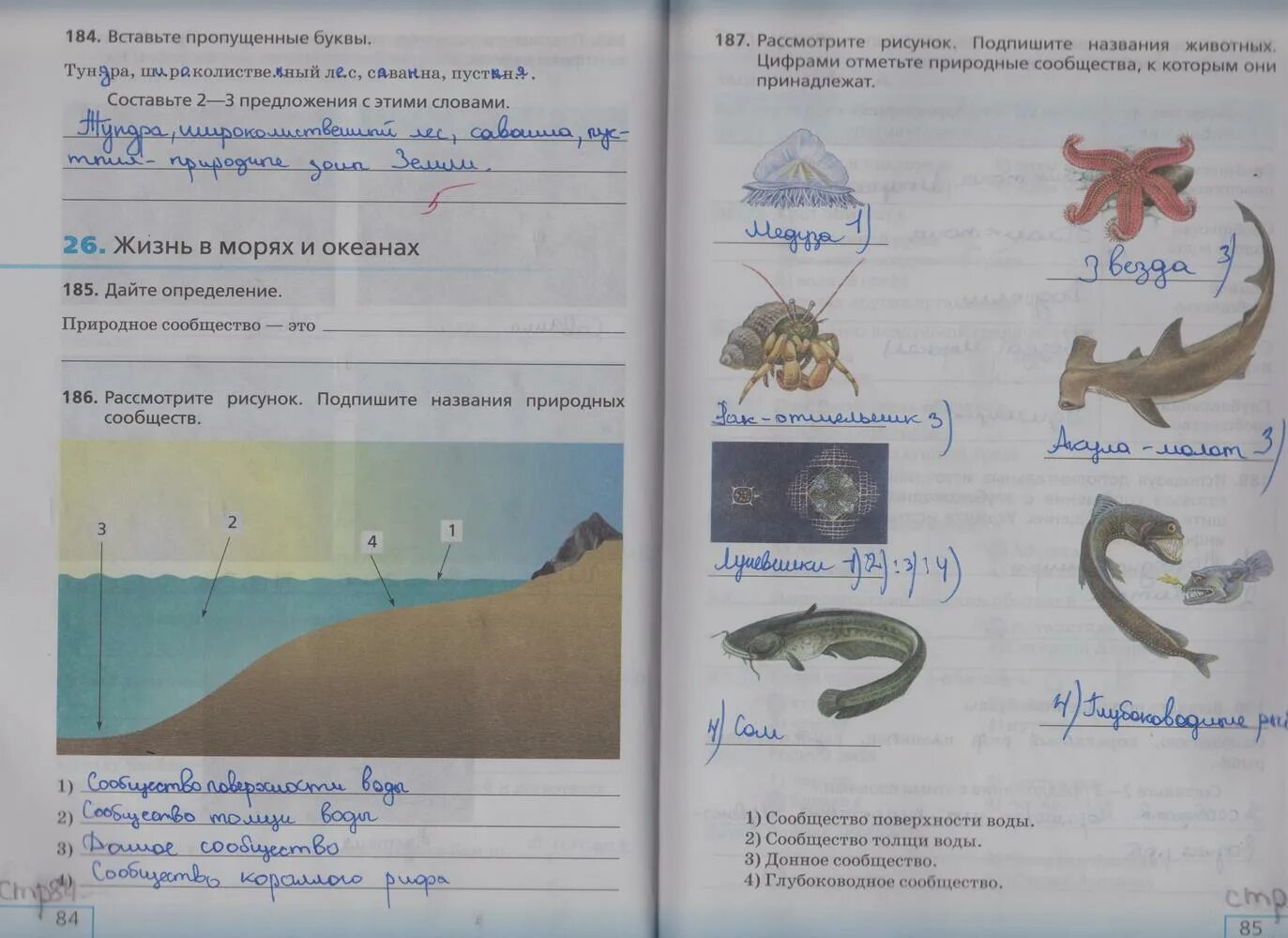 Биология 5 класс параграф 21 природные сообщества. Рабочая тетрадь по биологии 5 класс. подпиши названия природных сообществ. подпишите названия природных сообществ. подпишите названия природных сообществ биология пятый класс.