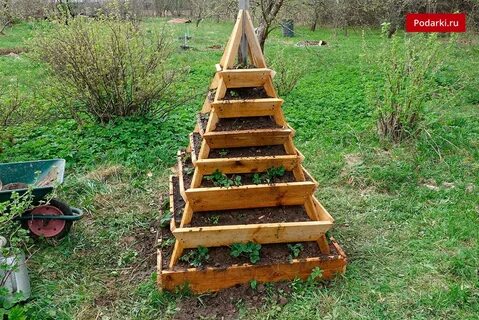 Грядка для клубники отзывы