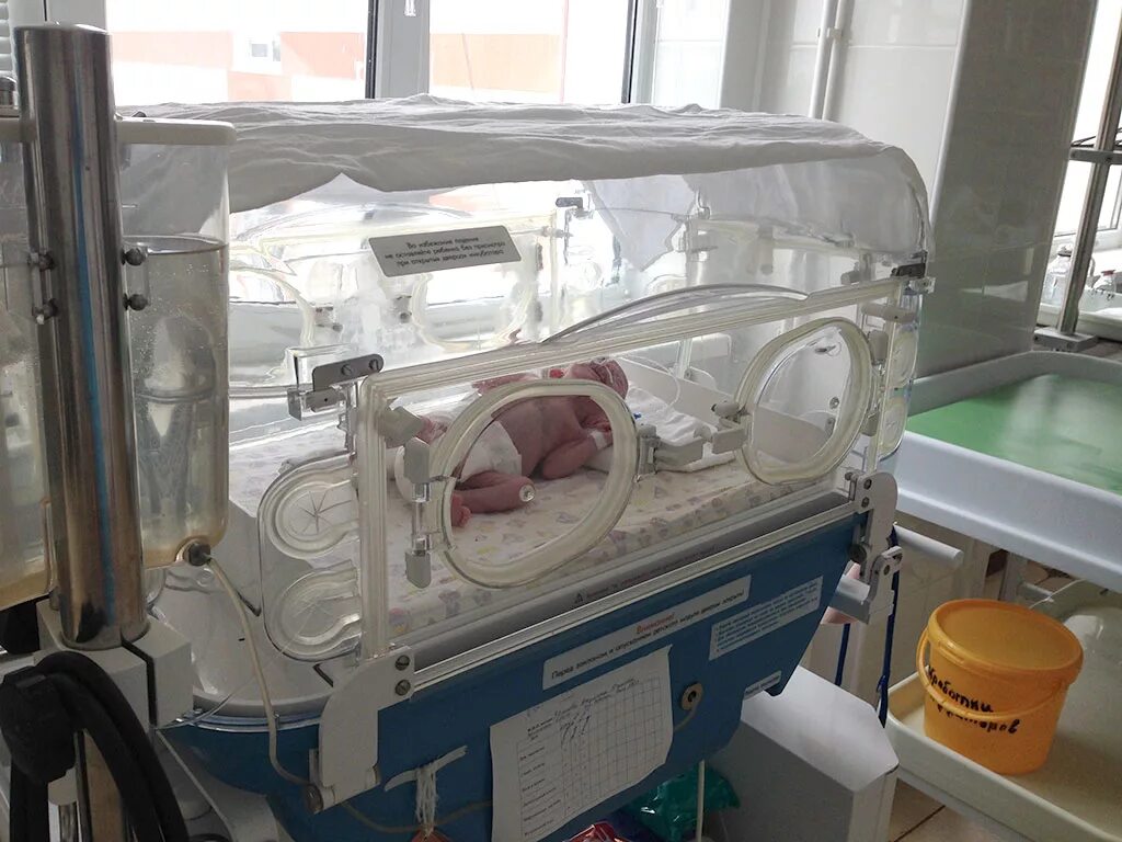 кчр шебзухова ирина. перинатальный центр кчр официальный. грибоедова 81 черкесск. карачаево-черкесский перинатальный центр. перинатальный центр черкесск.