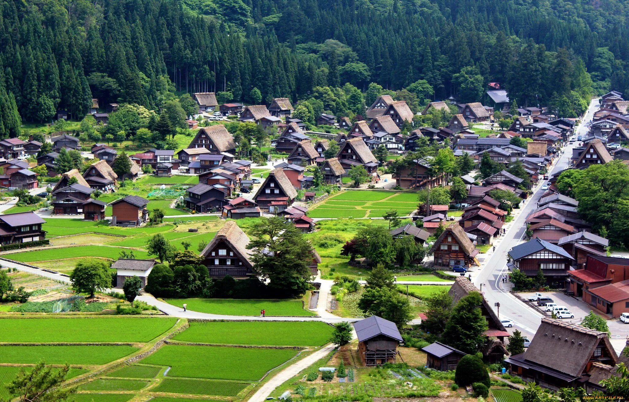Города села деревни. Японская деревня Сиракава летом. Деревня Ёнаки Япония. Храм деревни Сиракава. Современная деревня.