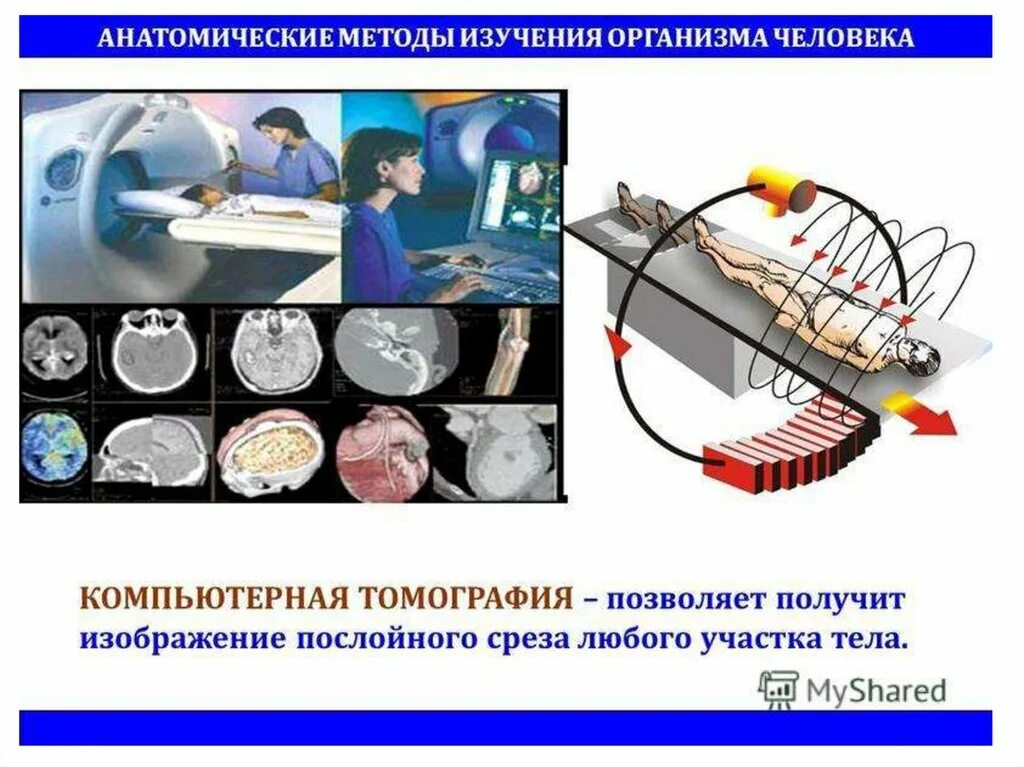 Методы исследования тела человека. Методы изучения анатомии. Анатомические методы изучения организма человека. Методы изучения физиологии. Методики изучения человека