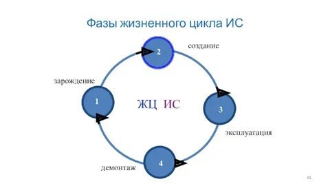 Жизненный цикл природы