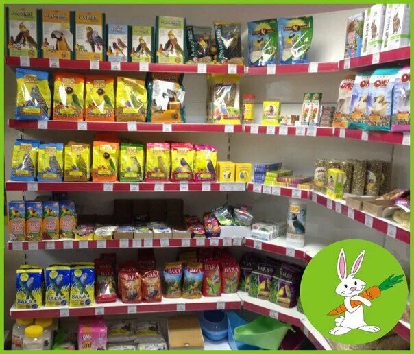 Зоомагазин в глазове. Зоомагазин лосино-петровский. Зоомагазин фрунзе 12. Зоомагазин проспект буденного 33. Магазин кролики на 22 съезде.