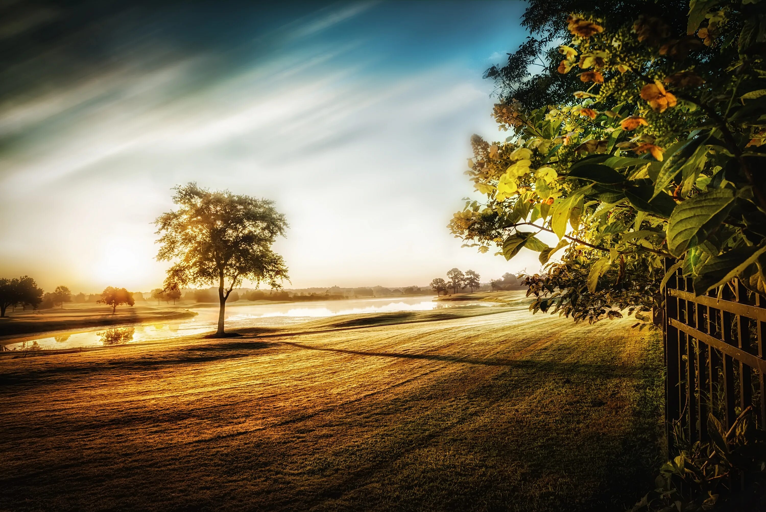 Растение в руках. Natural day. 5 июня всемирный день окружающей среды. Trees sunshine. Росток дерева в руках.