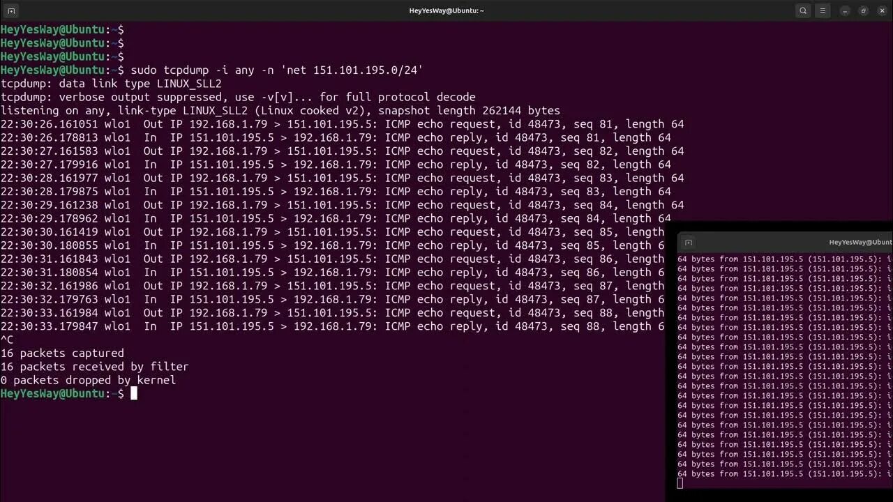 Bash update