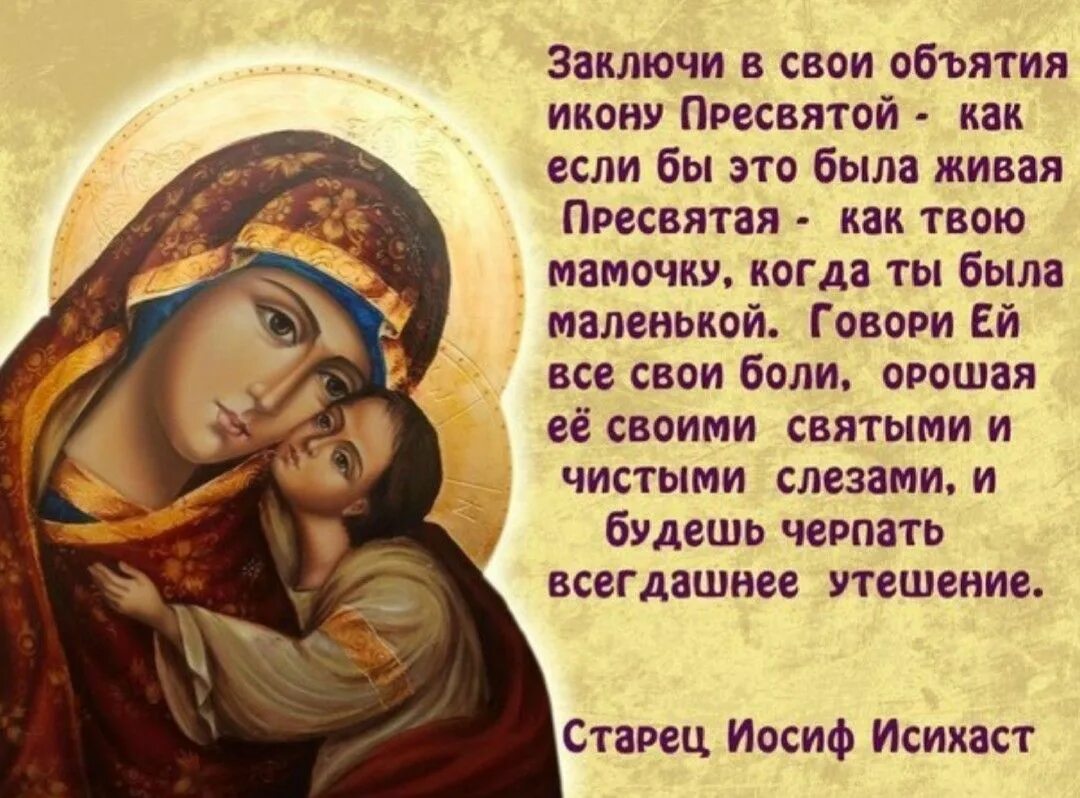 Молитва пресвятой богородице. Икона богородицы леушинская. Иисусова молитва 100 раз. Иконой мне стала твоя. Праздник иконы божией матери троеручица 25 июля.