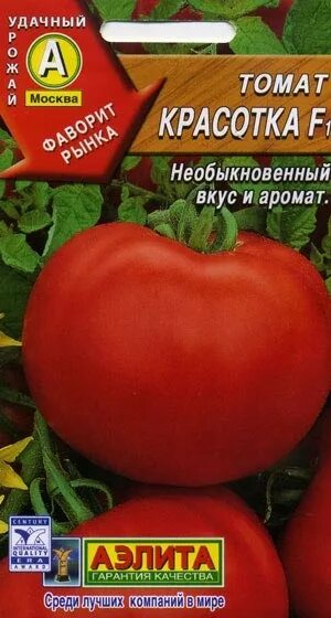 Томат лотарингская красавица желтая. Томат лотарингская красавица красная. Томат красавица москвы. Томат лотарингская красавица желтая. Томат красная красавица.