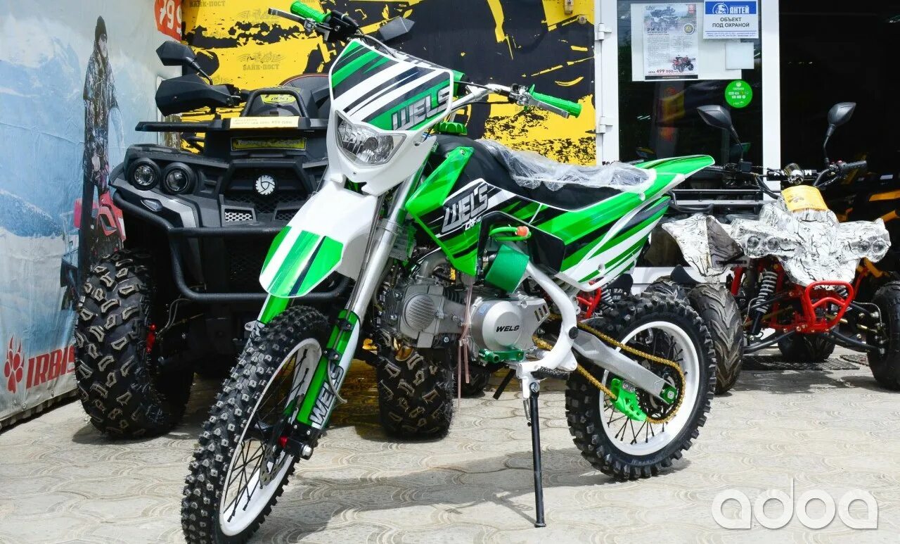 Кайо зеленый. Питбайк кайо 125. Кайо зеленый. Питбайк kayo basic yx125em 17/14 krz rolling moto. Кайо зеленый.
