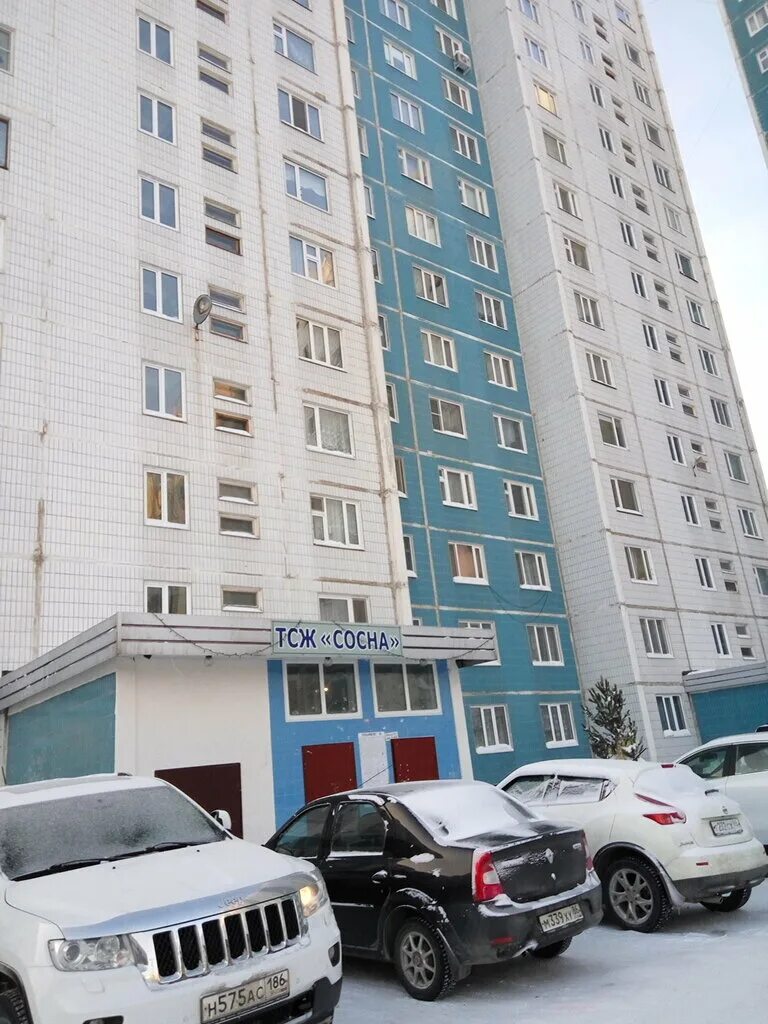 тсж нижневартовск. кошурникова 6 новосибирск. тсж молодежный сосновая 25. тсж нижневартовск. 60 лет октября кедр нижневартовск.