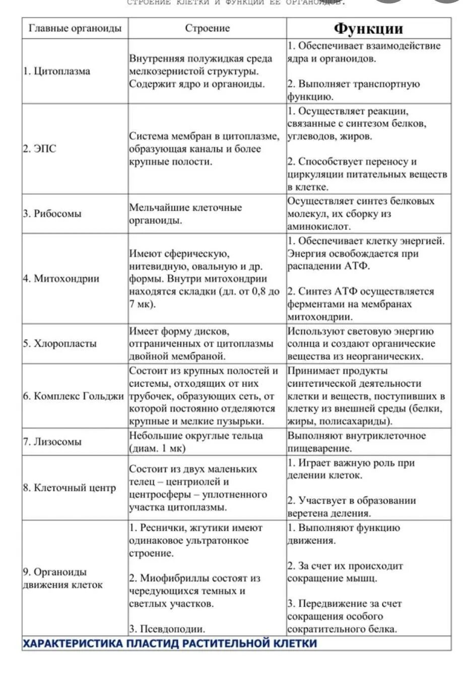 Взаимосвязь строения и функции клетки. Органоиды клетки строение органоидов функции органоидов таблица. строение клетки органеллы строение функции таблица. строение клетки структура строение функции таблица. структура и функции органоидов клетки таблица.