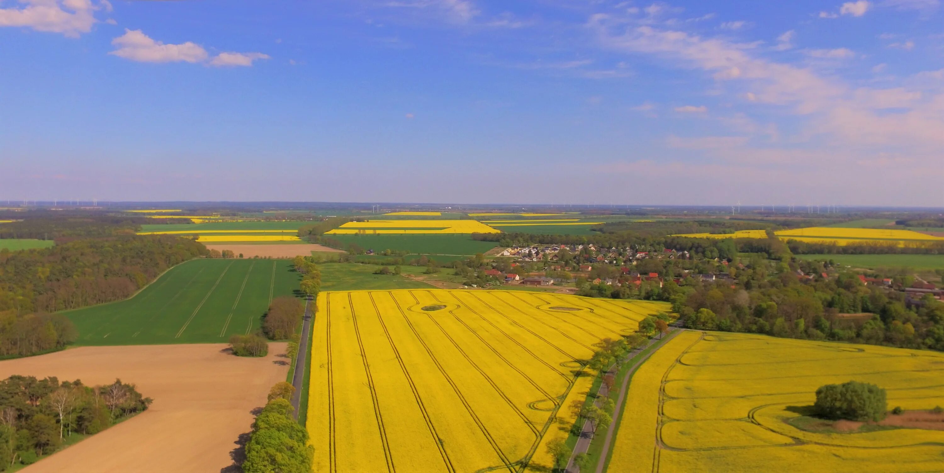 Житель земли бранденбург. Житель земли бранденбург. Бранденбург хафель. Житель земли бранденбург. Потсдам вид на город.