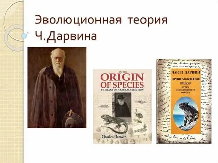 Примеры эволюционной теории