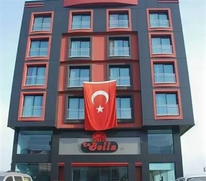 Some turkey. Turkish words. Индюк и индейка. Some turkey. Turkic words.