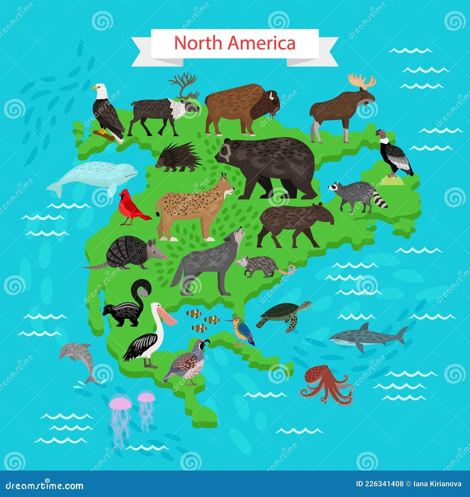 Карта Северной Америки с животными. Северная Америка для детей с животными. Животный мир Северной Америки на карте. Карта животных и растений Северной Америки. Животный мир материка северная америка