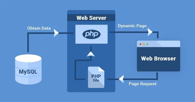 File server database