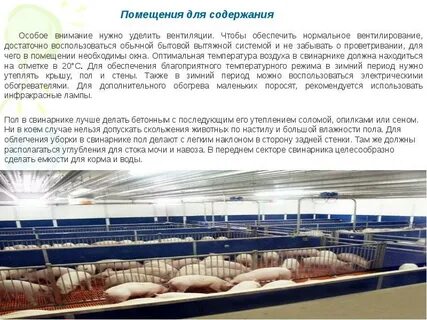 Содержание особый