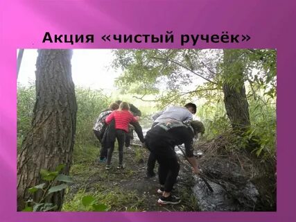Ручей чист светел и ясен