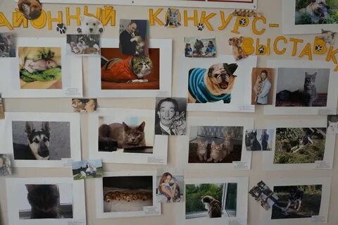 Фотовыставка мой любимый питомец