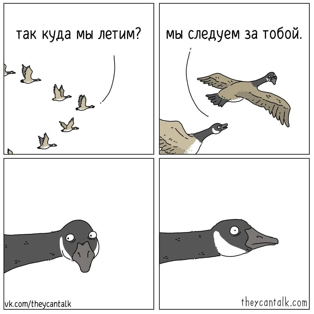 Куда летишь ответ