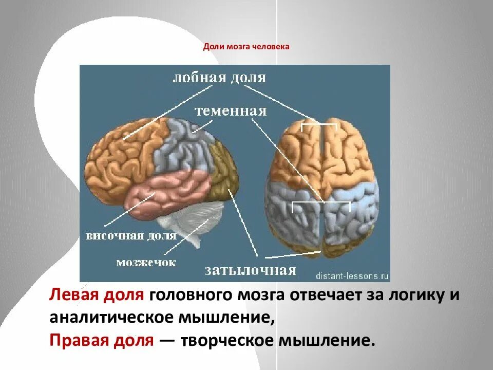 Левый центральный
